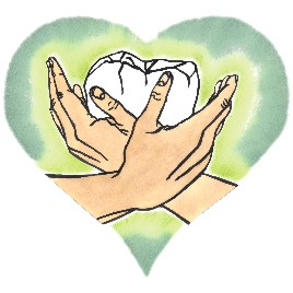 Logo Dr. med. dent. Jutta Wild